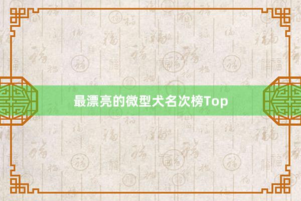 最漂亮的微型犬名次榜Top