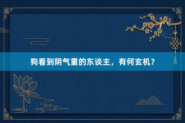 狗看到阴气重的东谈主，有何玄机？