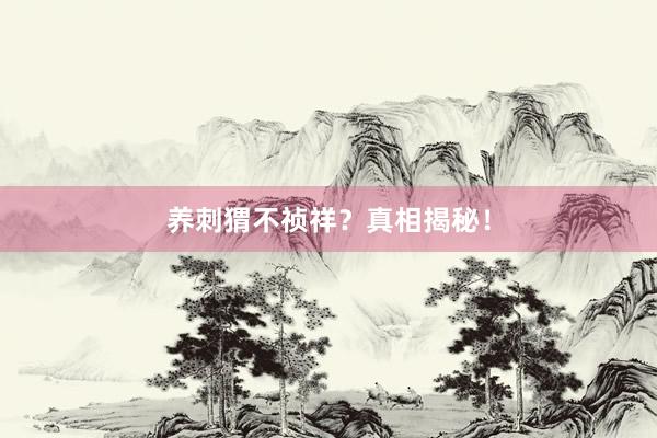 养刺猬不祯祥？真相揭秘！