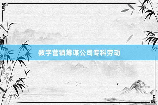 数字营销筹谋公司专科劳动